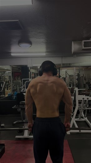 Built in wing suit project