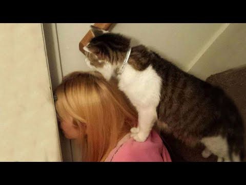 Cat ownership summed up in hilarious, heartwarming moments