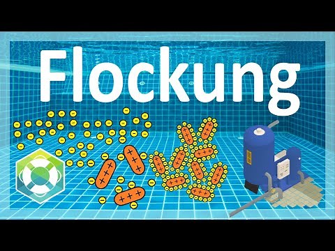 Flocculation in the swimming pool