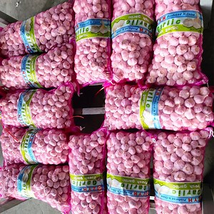 [Hot Item] Premium Quality 10kg Bulk Garlic Pack for Chefs