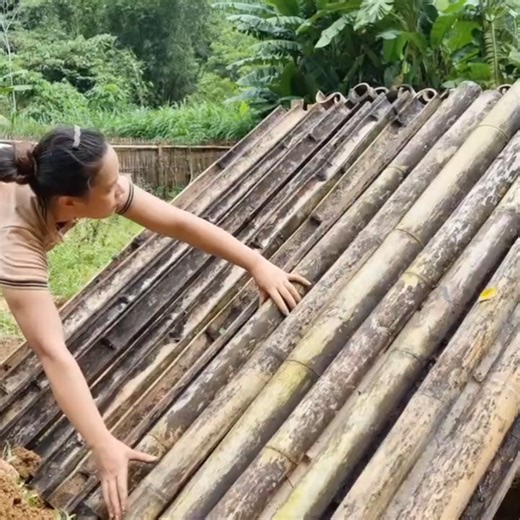 69K views · 786 reactions | How to Build a Farm - Make Bamboo Fence - Gardening #sustainableliving #bamboohut #handmade | Single Mom | Facebook