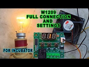 W1209 Temperature Controller Connection For Incubator || W1209 Thermostat Controller Settings