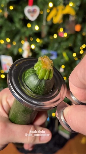 Noah Klein on Instagram: "Zucchini vs Egg Cutter #satisfying #kitchen #vegan"