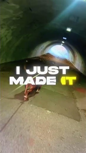 12 April 2026 #pitbull #americanbully #dogs #fyi #