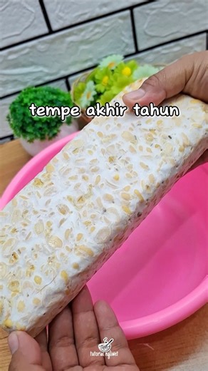 Tutorial Ngliwet on Instagram: "Tempe tahun wingi lagi tak olah #resepmasakan #reels"