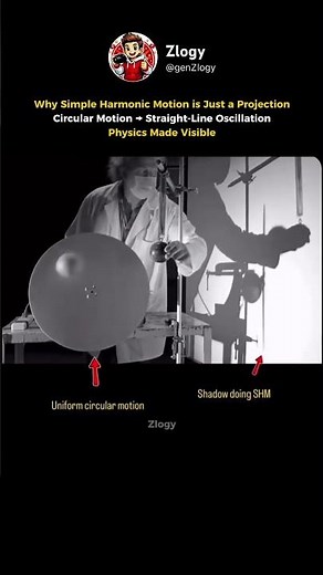 The Hidden Link Between Circular Motion and Simple Harmonic Motion