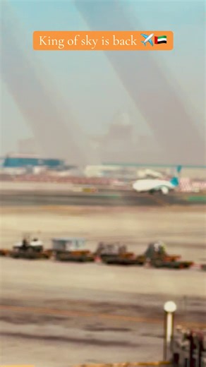 King of the Sky: A Resurgence in Aviation