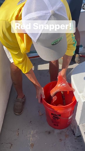 11K views · 124 reactions | Wicked Red Snapper!!! #fishing #florida #redsnapper | American Spirit Party Boat | Facebook