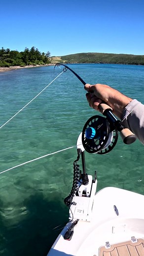 Vibrant Fish Color! Amazing Fishing Moments