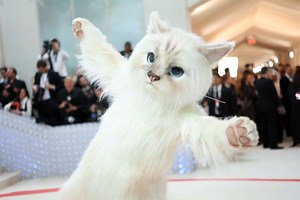 Best Memes Of The 2023 Met Gala: Cats, A Cockroach And Jason Derulo Falling Down The Stairs