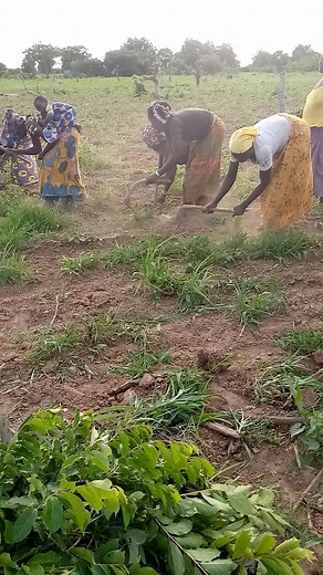 Vidéos de alsco la joie (@alsco.la.joie7) avec son original - Patrimoine du Faso 💎 🇧🇫