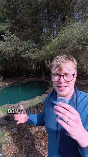 The mysterious blue spooky pool in the middle of the woods in Scotland!