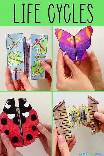 Insect life cycle science crafts - butterfly, ladybug, honeybee, dragonfly