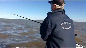 Uno de los tantos flechas de plata para Brenda 🎣💥. | Puerto De Pescadores Programa de pesca deportiva
