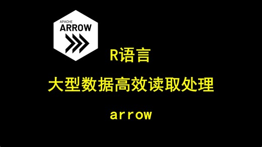 R语言 高效读取处理大型数据集 arrow