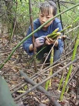 Spring Flavors: Discover Your Favorite Freshness