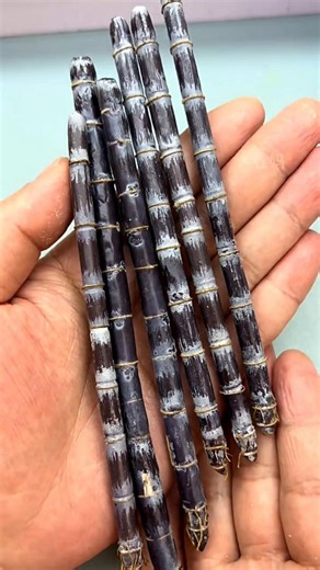 The Facts Hub on Instagram: "Meet the Mini Black Sugarcane! #shorts #plants #farming #China #nature #reels #instagram"