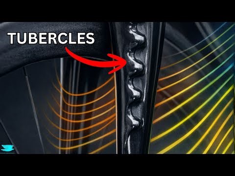 This Weird Wavy Edge Might Reduce Track Bike Drag (CFD Tested)