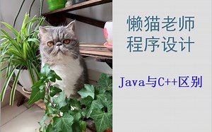 懒猫老师-最简版C++-(17)Java与C++的区别1
