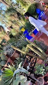 Découvrez les célèbres Jardins Majorel et Menara à Marrakech à travers les yeux de nos clients, le tout à bord de nos calèches traditionnelles. Réservez dès maintenant sur notre page pour vivre cette expérience authentique marocaine. Contacter nous : 🌐 Web site : www.clickexcursions.com ☎️Contact : 212666887333 📧 Email : contact@clickexcursions.com #ClickExcursions #MajorelGardens #MenaraGardens #Marrakech #MoroccoTourism #TravelMorocco #BeautifulPlaces #CalecheRide #GardenLovers #naturephotog