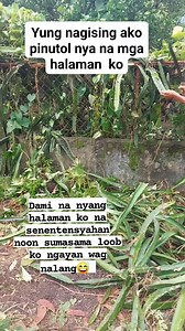 2.7M views · 14K reactions | Tatay ko di nalang ako magagalit dati...