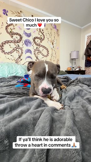 370 reactions · 65 comments | Alie Blu on Reels | Facebook