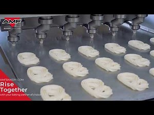 First universal Depositor capable of depositing a wide range of cookies, meringues and more.