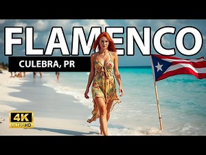 POV: FLAMENCO BEACH, Culebra PR | WALKING TOUR | [4k] Binaural Audio🎧