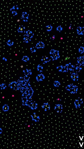 Exploring Cellular Automata: Evolution of Emergent Life