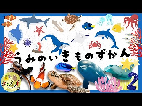 【海の生き物ずかん2】水族館にいる海の生き物たちを探そう！イルカ サメ ウミガメなど17種類のいきものとおさかなさんが大集合【子供向け 海の生き物知育アニメ】