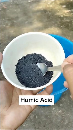 The correct rules for using humic acid on plants | How to use humic acid for plants. #humicacid