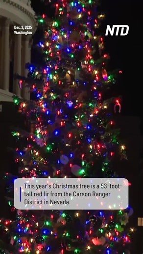 Nevada made history Tuesday (December 2) as its first-ever U.S. Capitol Christmas Tree was lit on the West Lawn, with House Speaker Mike Johnson presiding over the ceremony. | NTD Life