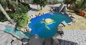 Primer santuario de fauna marina en Venezuela: ¿qué se sabe de la obra y desde cuándo funcionará?