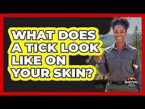 What Does a Tick Look Like on Your Skin?