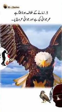 #plz_subscribe_my_channel #shortvideo #unfrezzmyaccount #success #foryouシ #videoviral .