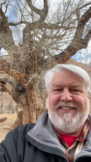 A #Tree with a History on my Solo Utah Travel in Capitol Reef National Park