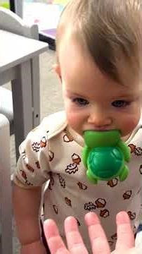 5 Signs Your Child Is Being Raised By Huskies | The Dodo