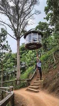 He Built a Floating Treehouse Alone in the Forest | A Dream in the Sky #bushcraft #survival