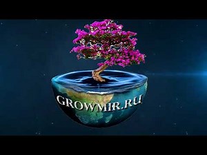 Органический стимулятор Bud Candy для роста цветов и плодов Advanced Nutrients 0.25 0.5 1 и 5 литров