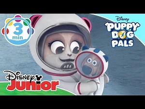 Puppy Dog Pals | Summer Music Videos 🎶 | Disney Kids