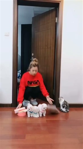 Exploring A Fruit Bowl—Tiny Puppy Among Apples & Oranges 🍎🐶~ #TeacupAdventure