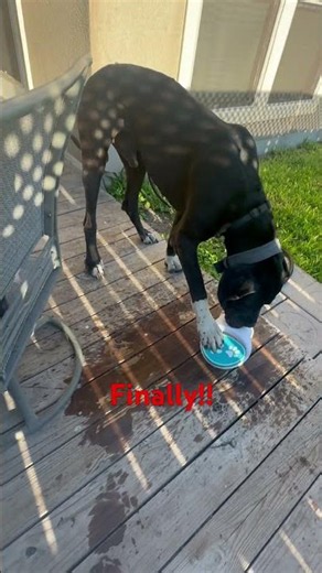 Bruno finally figured it out!