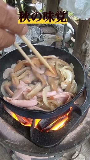 【ショート】秋の味覚〜コガネタケ〜