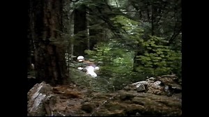 105K views · 2K reactions | This is a video produced for Honda dealers talking about the new Honda XR250L dual sport motorcycle for 1991. | The Motocross Vault | Facebook