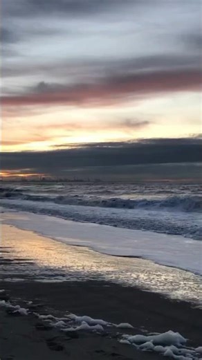 Who is your favorite #challenge #fyp #shorts