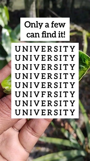 Find the Odd One | Visual Logic Challenge | Ep.1675