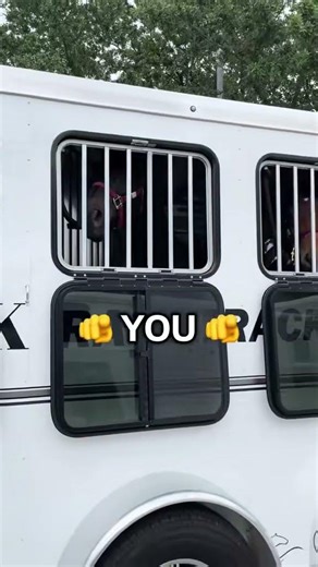 ONLY YOU | HOOFLINK | LIP CHIP #horse #horses #trailer #texas #haul