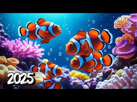 8K Shark Aquarium 🦈 | Calming Music with Sharks, Manta Rays & Colorful Ocean Fish #26
