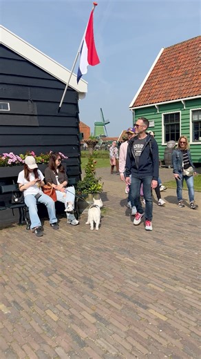 1.1K views · 84 reactions | An Amazing Place to Visit 拾 Zaanse Schans  #reelsvideo #netherlands #holland #zaanseschans #zaandam #zaanstad | I Love The Netherlands | Facebook