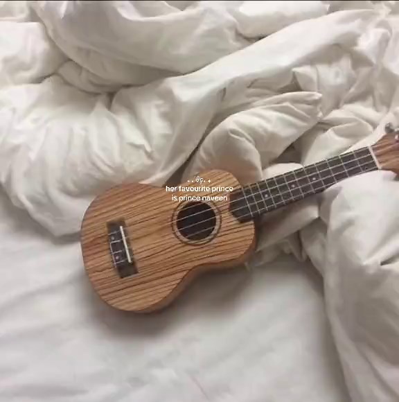 Prince Naveen: A Princess and the Frog Favorite